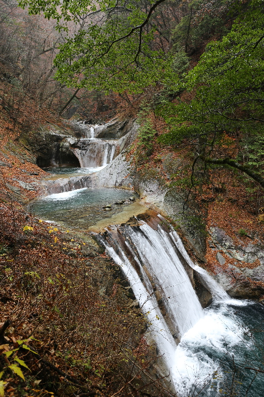 f0103126_218558.jpg