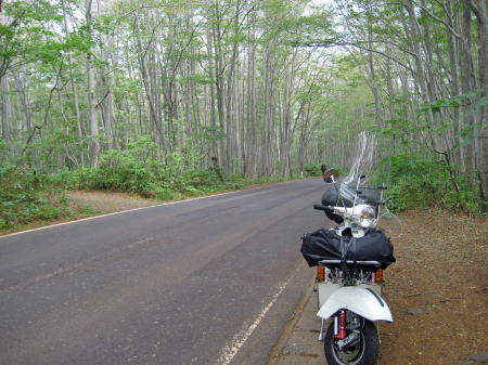 f0225627_22194353.jpg
