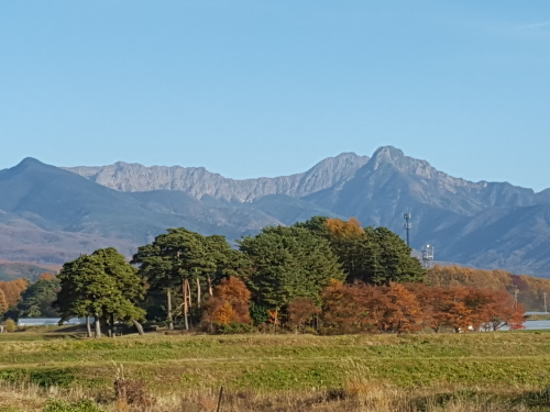 e0016828_11321884.jpg