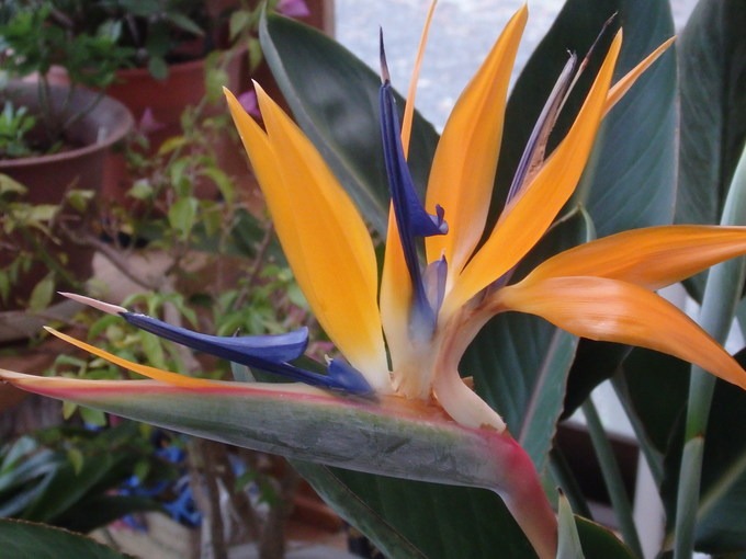 a0054240_19535524.jpg