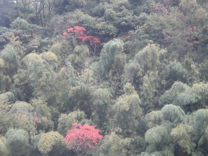 a0054240_20102036.jpg