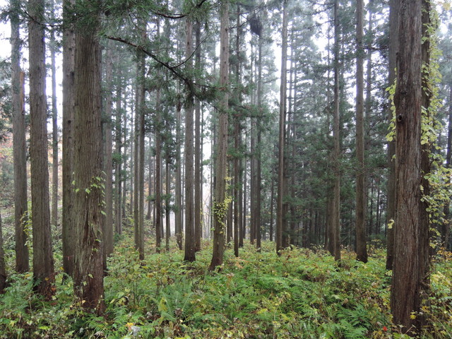 b0075140_2215937.jpg
