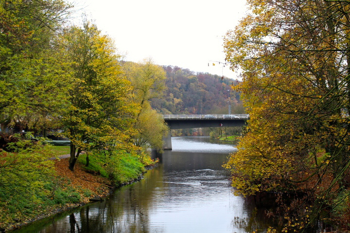 c0153740_2102031.jpg