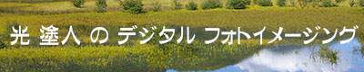 f0160440_1710996.png