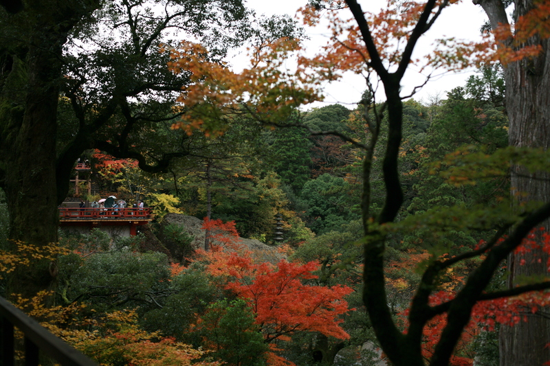 f0032042_1894455.jpg