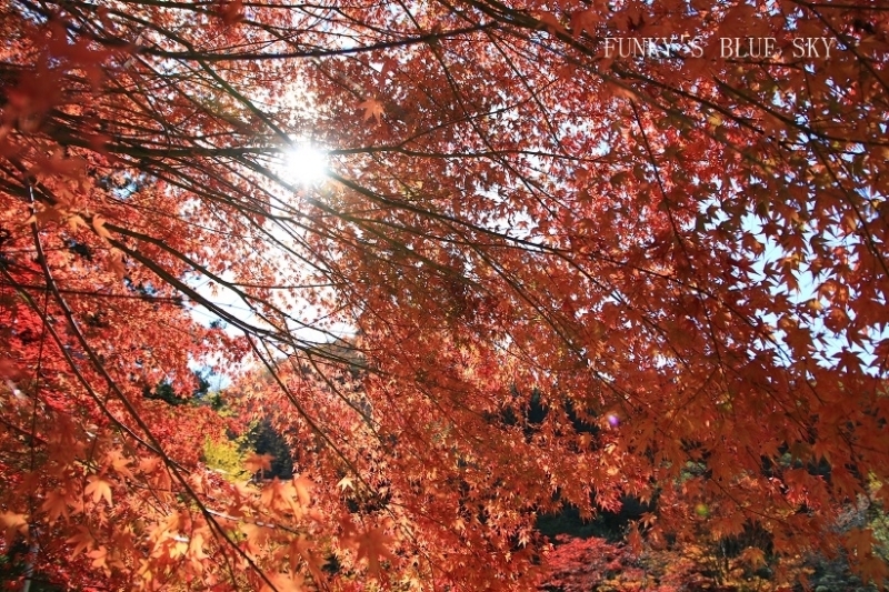 c0145250_10375151.jpg