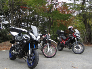 a0052952_21531680.jpg