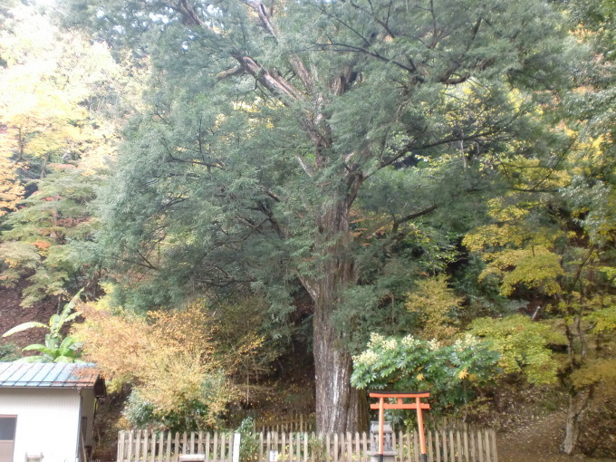 d0154954_10022478.jpg
