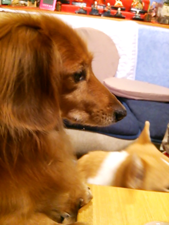 f0000673_047624.jpg