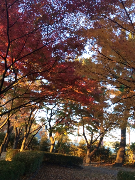 c0283778_16503131.jpg