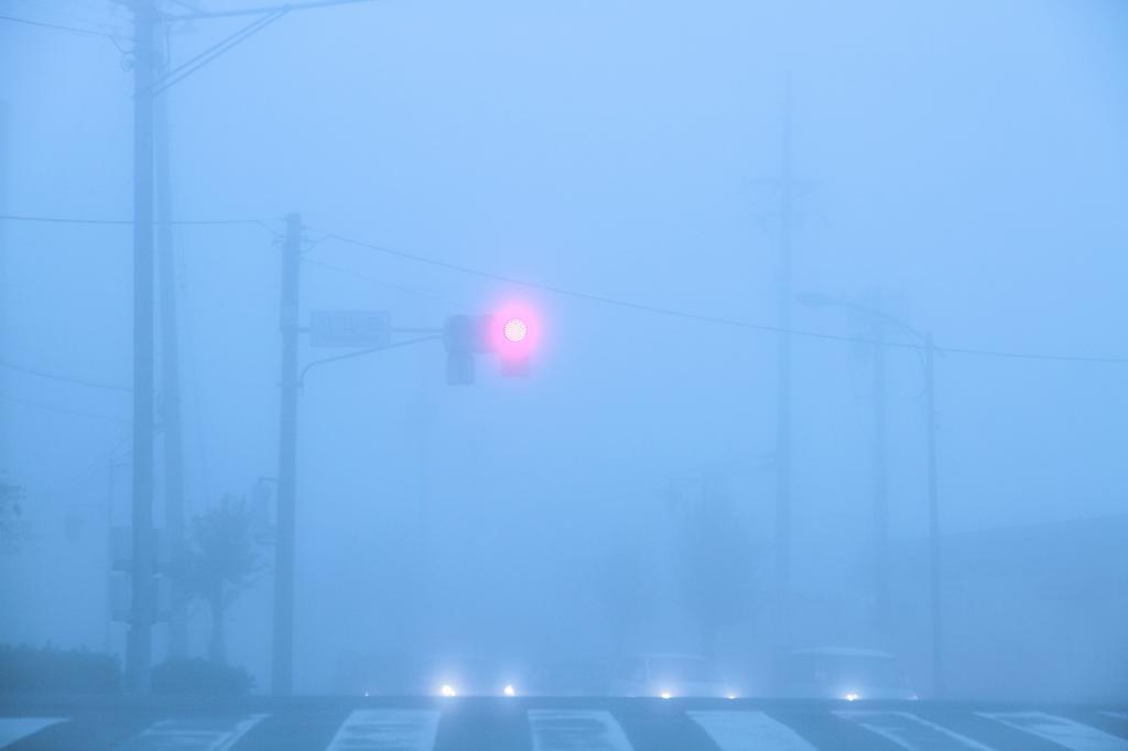 c0356480_22263981.jpg