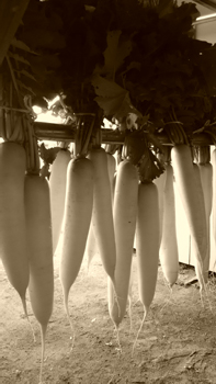 c0145183_10184736.jpg