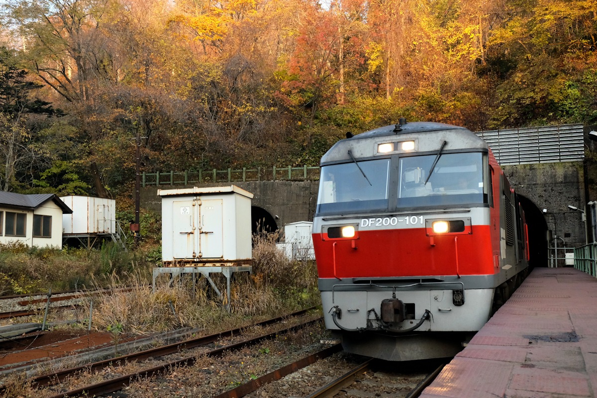e0051186_2023144.jpg