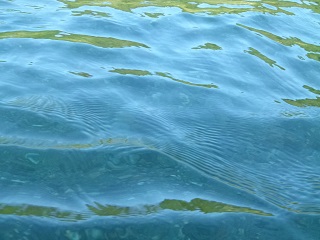a0161290_1695411.jpg