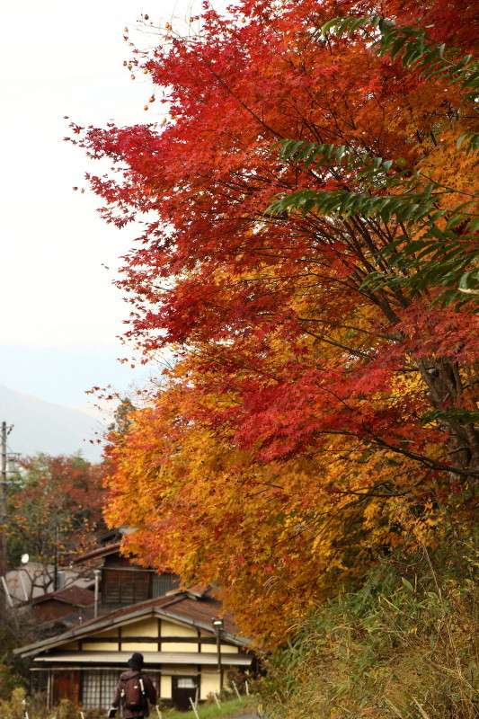 a0325492_23073823.jpg