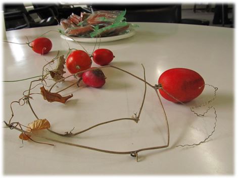 f0137096_16192430.jpg