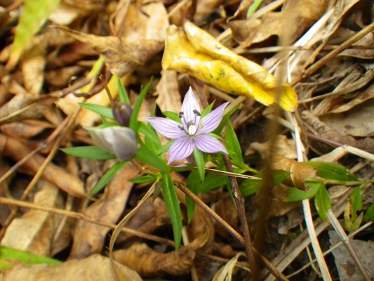 f0187402_20481863.jpg