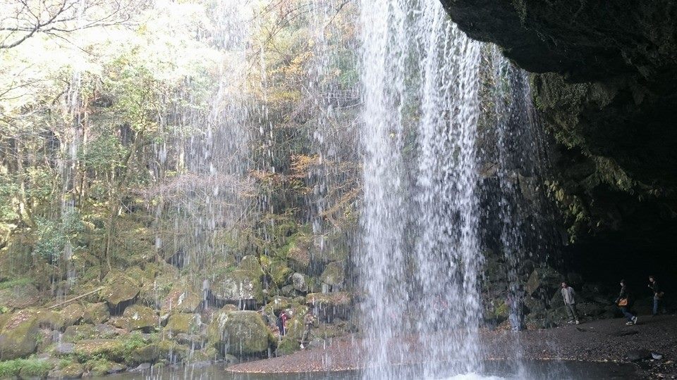 f0061705_1046253.jpg