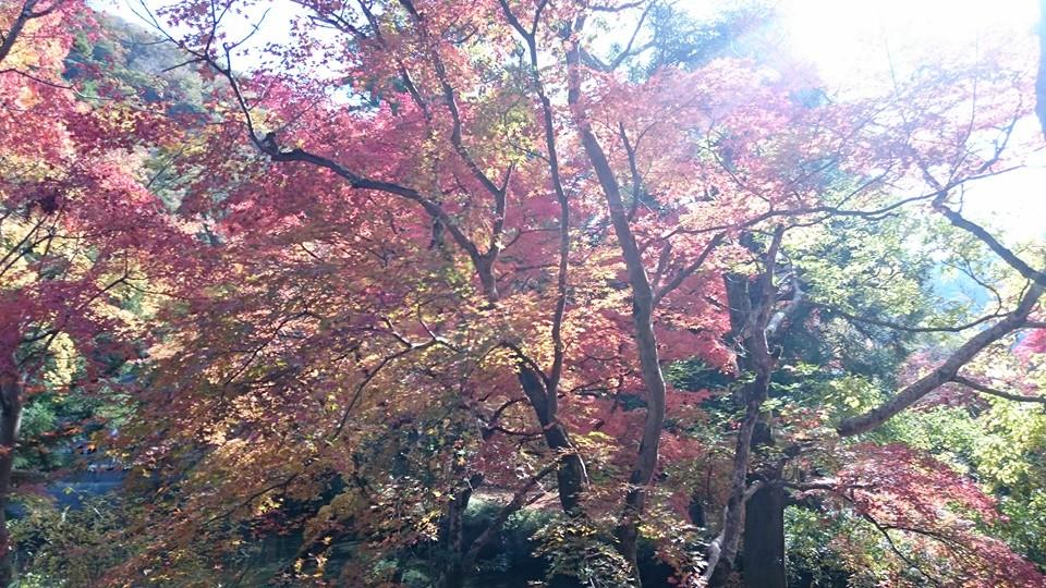 f0061705_12265350.jpg
