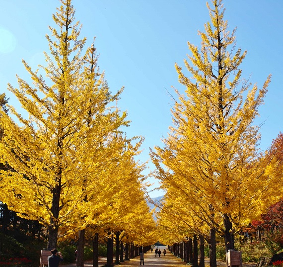 c0247614_22201244.jpg