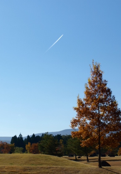 c0247614_22252382.jpg