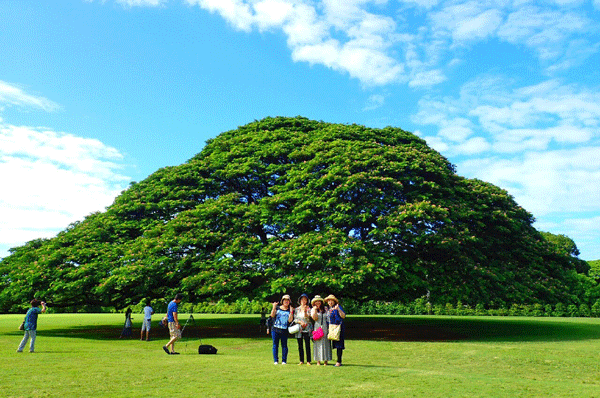 e0020214_1822455.gif