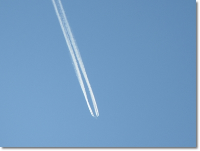 b0167519_15274460.jpg