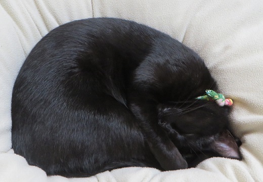 c0280322_14575216.jpg
