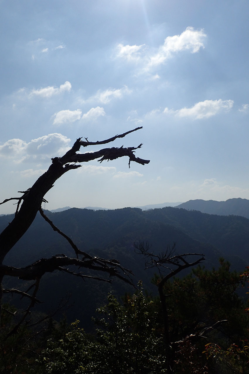 c0064025_20575116.jpg