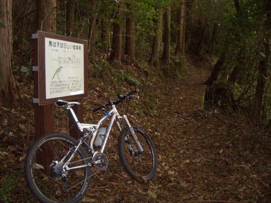 b0222530_16542523.jpg