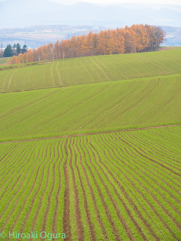 e0025030_14534058.jpg