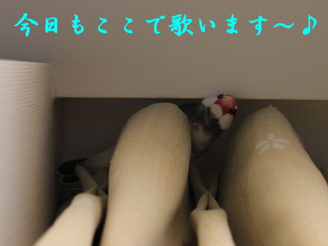 c0365734_21210830.jpg