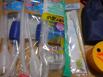 e0097534_10402355.jpg