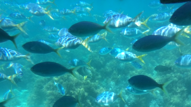 b0175335_117339.jpg
