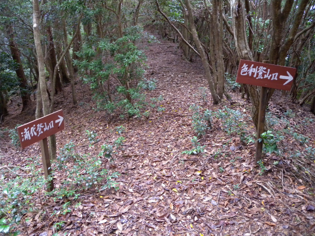 e0272335_20441310.jpg