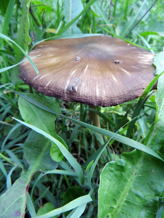 f0234936_7434719.jpg