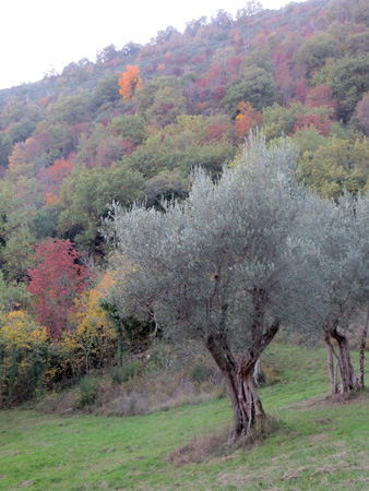 f0234936_743835.jpg