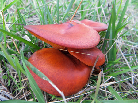 f0234936_7443049.jpg
