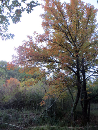 f0234936_7444851.jpg