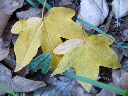 f0234936_744551.jpg