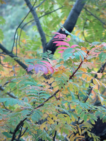 f0234936_745446.jpg