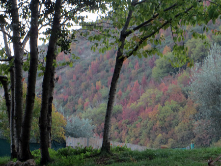f0234936_7462897.jpg