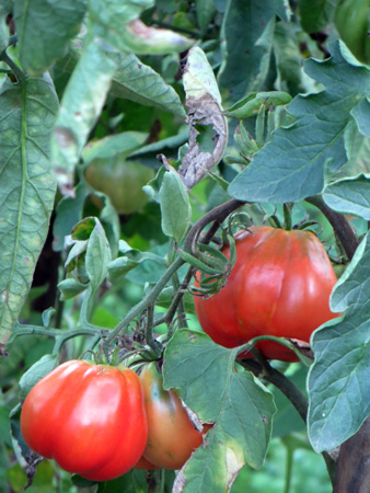 f0234936_746858.jpg