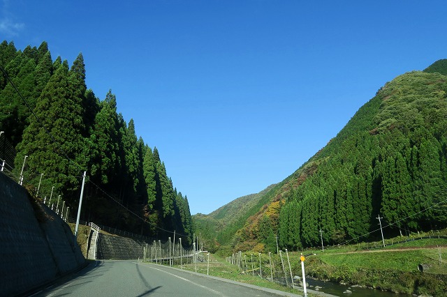 a0242438_19433718.jpg