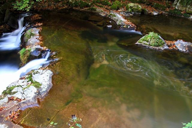 a0242438_19475279.jpg