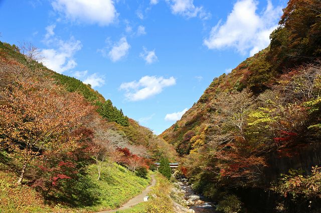 a0242438_19481539.jpg
