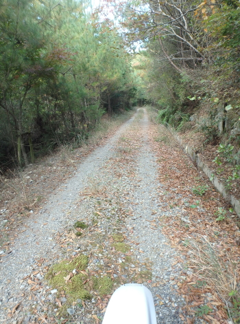 c0339546_98385.jpg