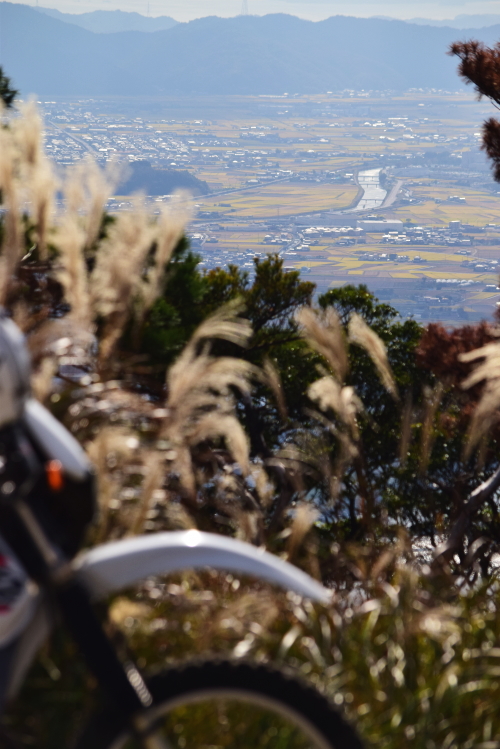 c0339546_99230.jpg