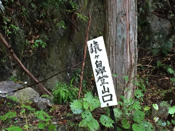 c0042847_10154443.jpg