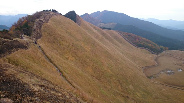 b0148050_10585496.jpg
